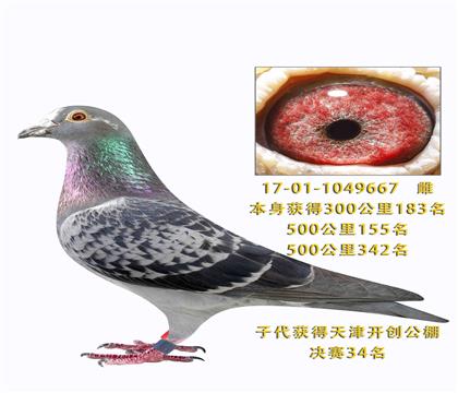 �����������С����