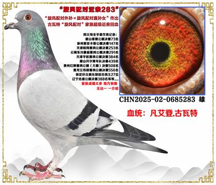 �����ء��������������������ֱ��Ů��������Ѫ