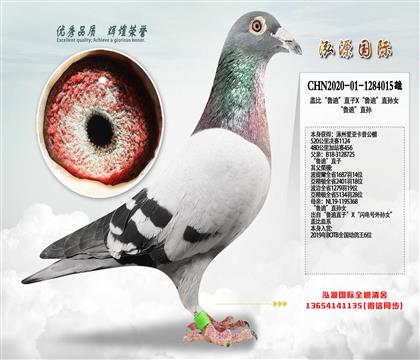 ���ݰ��ǿ��չ����վ��456  ��³�ϡ�ֱ��