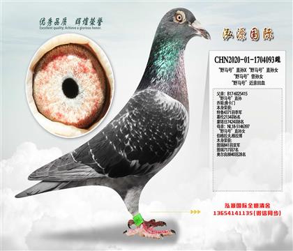 ��Ұ���š�ֱ��X��Ұ���š�ֱ��Ů