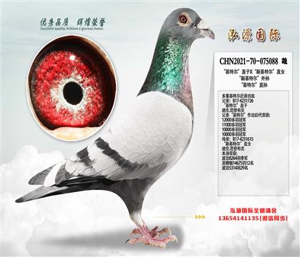 ���Ƽ��������ض���ֱ��X���»��ض���ֱŮ