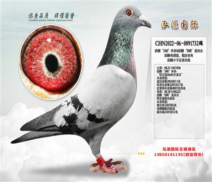 ���ҡ�240������X���ҡ�098��ֱ��Ů