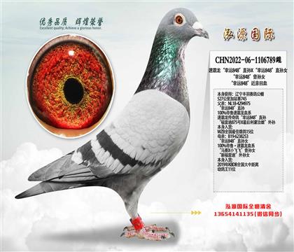 �ٰ���������848��ֱ��X������848��ֱ��Ů