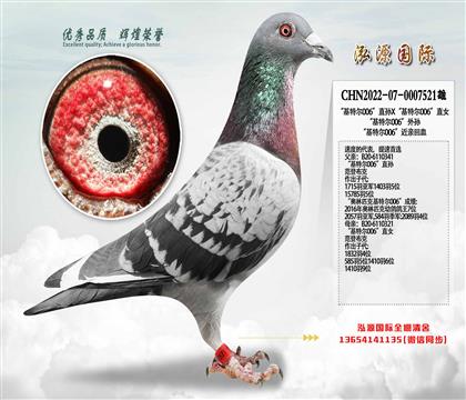 �����ض�006��ֱ��X�����ض�006��ֱŮ