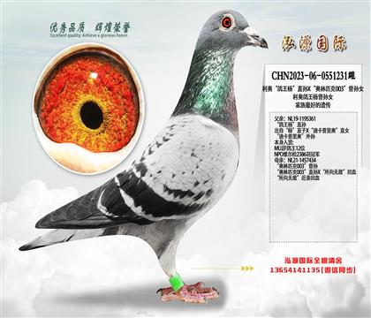 ���¡������ֱ��X������ƥ��003������Ů