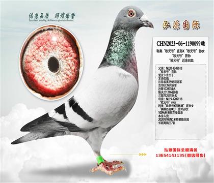 ���¡�ŷԪ�š�ֱ��X��ŷԪ�š���Ů