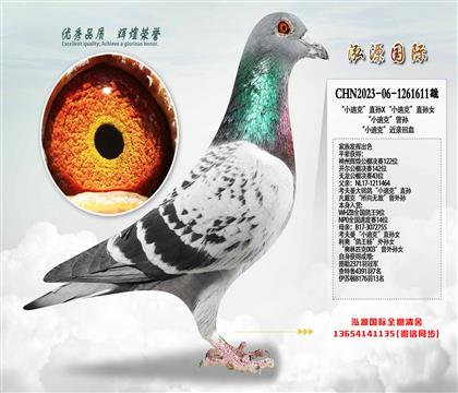 ��С�Ͽˡ�ֱ��X��С�Ͽˡ�ֱ��Ů