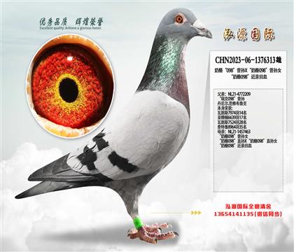 ���ҡ�098������X������098������Ů