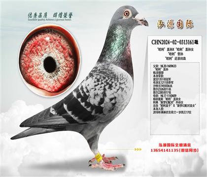 ��������ֱ��X��������ֱ��Ů