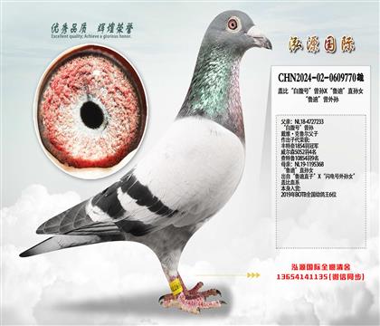 �Ǳȡ��׸��š�����X��³�ϡ�ֱ��Ů