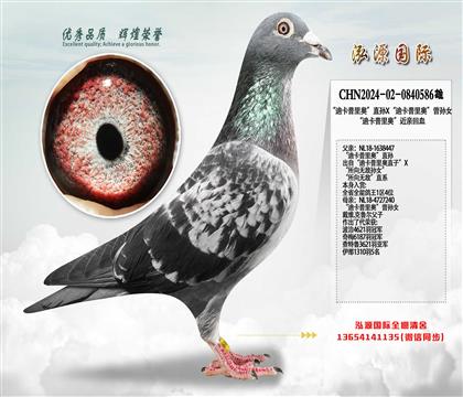 ���Ͽ�����¡�ֱ��X���Ͽ�����¡�����Ů