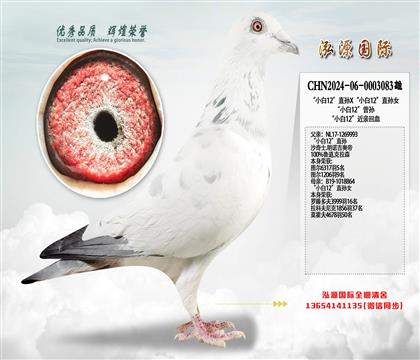 ��С��12��ֱ��X��С��12��ֱ��Ů