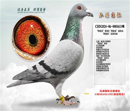 �������ࡱ����X�������ࡱֱ��Ů