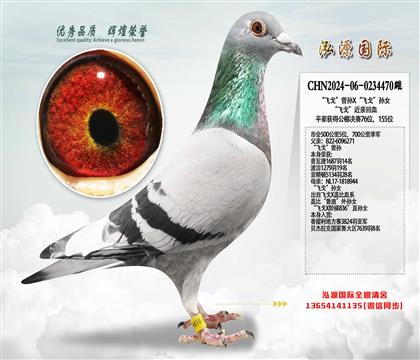 ���ɸꡱ����X���ɸꡱ��Ů