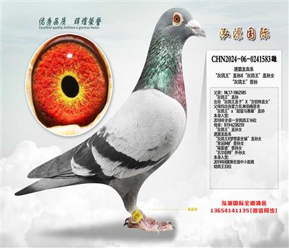 �ٰ���Ѫϵ ���Ҹ�����ֱ��X���Ҹ�����ֱ��Ů