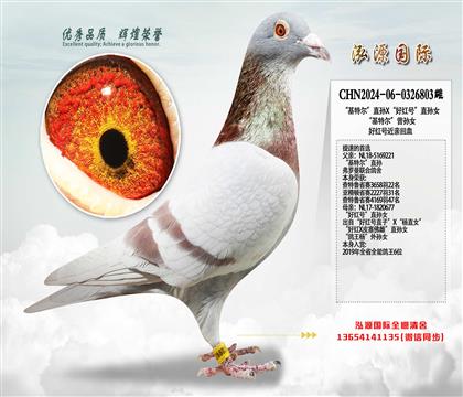 �����ض���ֱ��X���ú�š�ֱ��Ů