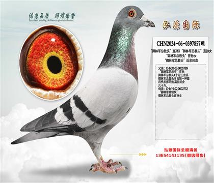 �����־��ܽ�ͷ��ֱ��X�����־��ܽ�ͷ��ֱ��Ů