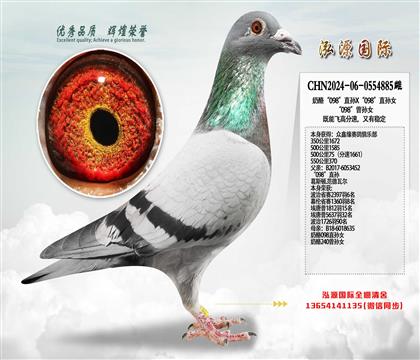 500����75��1661���٣����ҡ�098������Ů