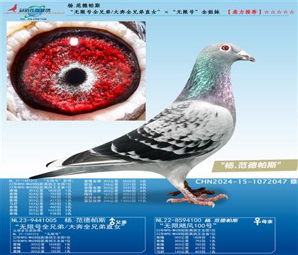 �����޺�ȫ�ֵ�/��ȫ�ֵ�ֱŮ���������޺š�ȫ����