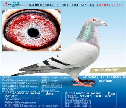 ��.������˹����ֱ�ӡ��������޺š�ȫ�ֵ�/���󱼡�ֱŮ