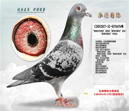 ������ƥ��003��ֱ��X�����λ���ԡ�ֱŮ