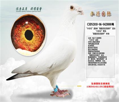 ��С��12��ֱ��X���������������֡�ֱŮ