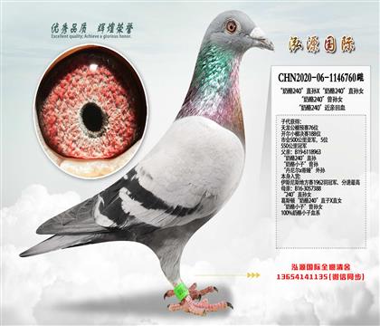 ������240��ֱ��X������240��ֱ��Ů