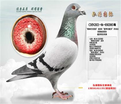 ������ƥ��003��ֱ��X�����λ���ԡ�����Ů