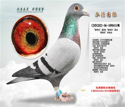 �����ض���ֱ��X�����ض���ֱŮ