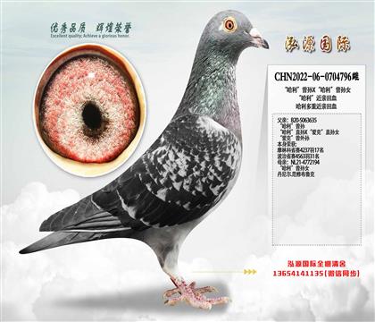 ������������X������������Ů