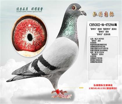 �����ض���ֱ��X���»��ض���ֱ��Ů