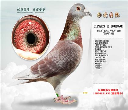 ���ú�š�ֱ��X��С��š�ֱŮ