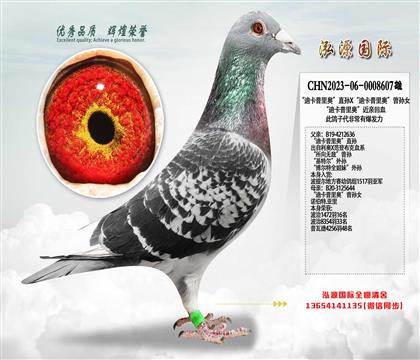 ���Ͽ�����¡�ֱ��X���Ͽ�����¡�����Ů