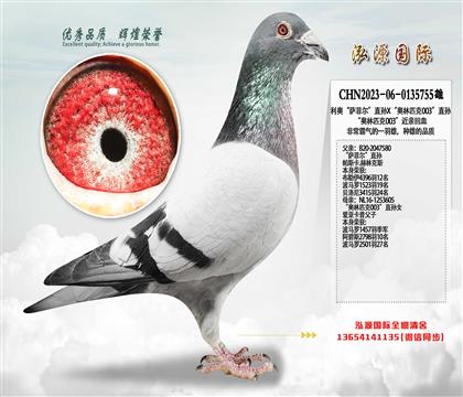 ���¡����ƶ���ֱ��X������ƥ��003��ֱ��