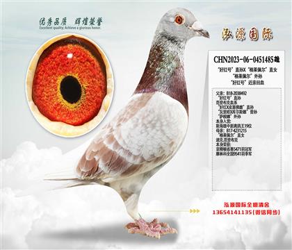 ���ú�š�ֱ��X�����������ֱŮ