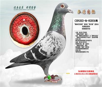 ������ƥ��003��ֱ��X�������ֱ��Ů