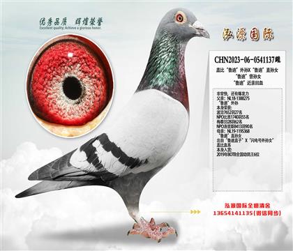 �Ǳȡ�³�ϡ�����X��³�ϡ�ֱ��Ů