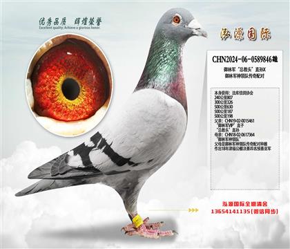 ���־����ܽ�ͷ��ֱ��X���־�����Ӵ������