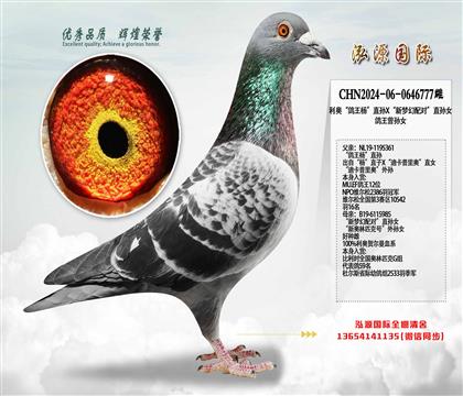 ���¡������ֱ��X�����λ���ԡ�ֱ��Ů