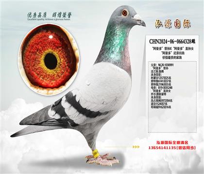 �������ࡱ����X�������ࡱֱ��Ů