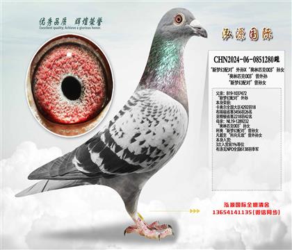 �����λ���ԡ�����X������ƥ��003����Ů