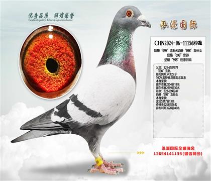 ���ҡ�698��ֱ��X���ҡ�698��ֱ��Ů