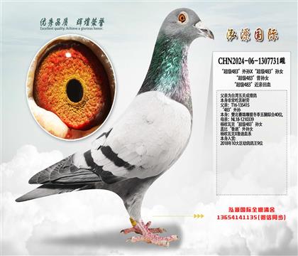 ������483������X������483����Ů