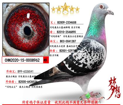 ���������ȣ�����ɣ��ʿ������ĸ	