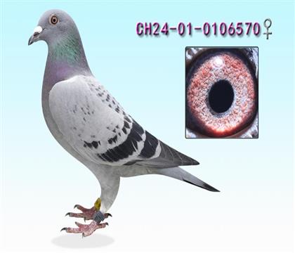 ����003����570