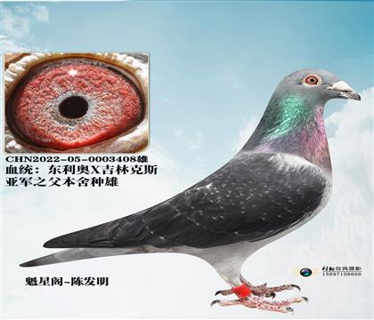 �����¡����ֿ�˹408