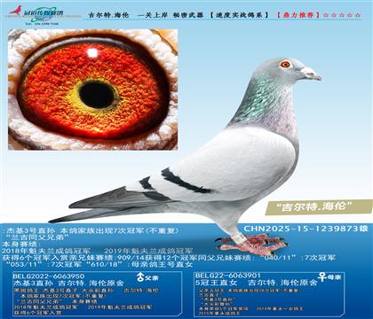 ������.����  һ���ϰ� ��������