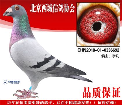 ���18-01-0336692