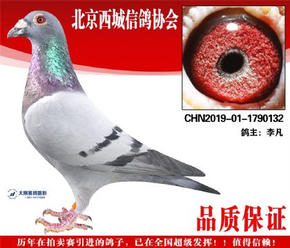 ���19-01-1790132