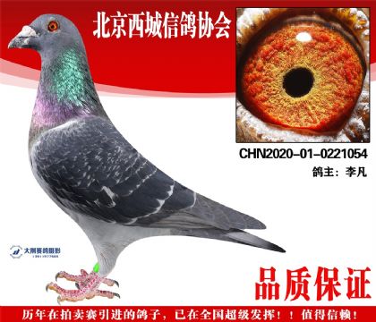 ���20-01-0221054